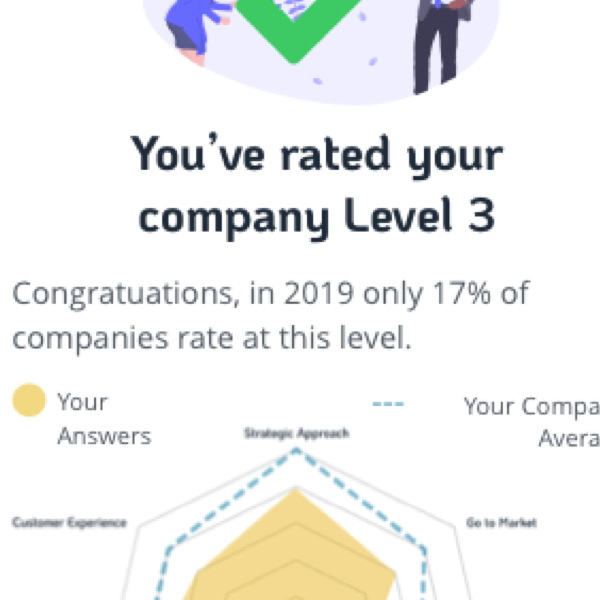 Company maturity evaluation app